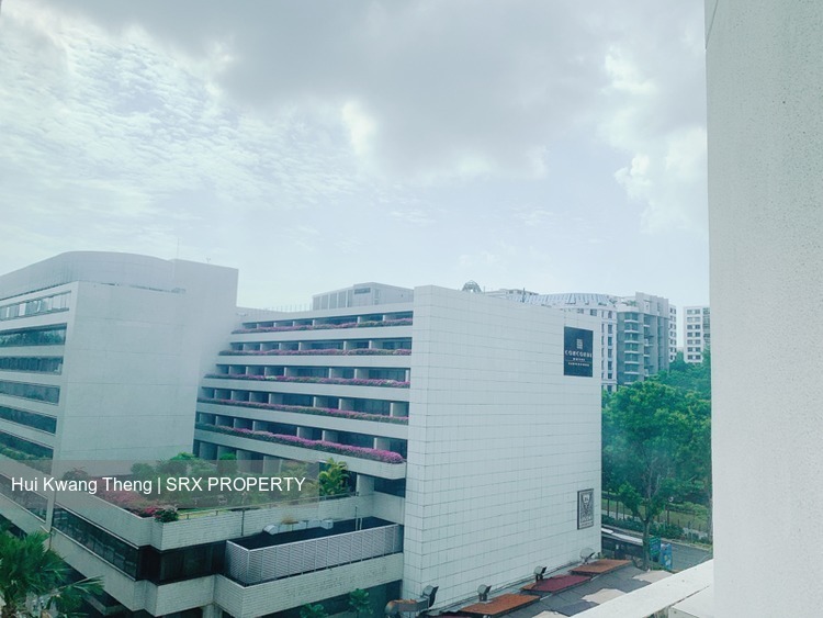 Orchard Plaza thumbnail photo